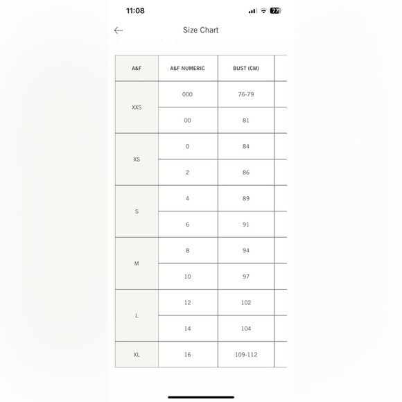 Abercrombie & Fitch New Dress - Picture 6 of 10